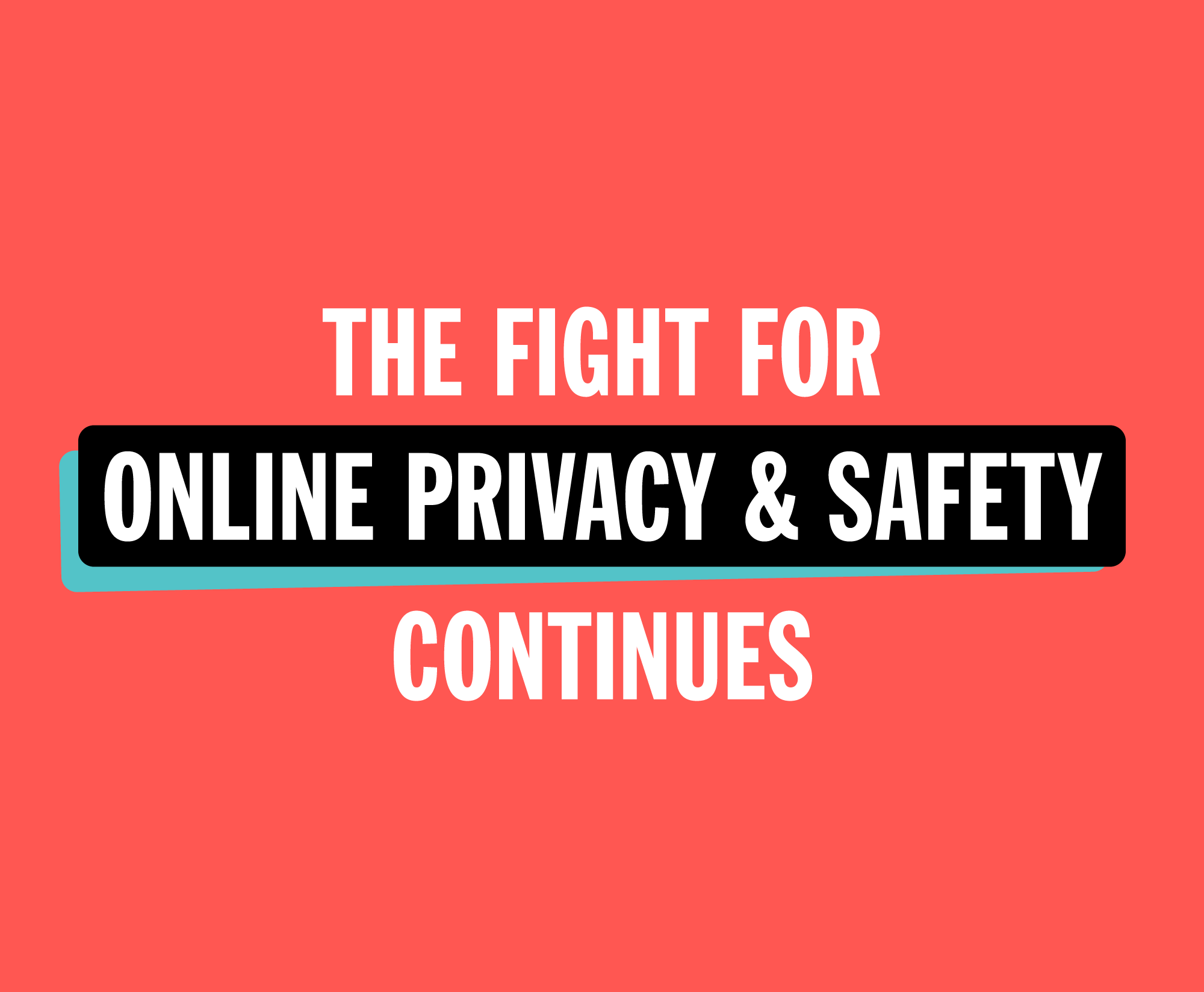 Promotional graphic that reads: The fight for online privacy and safety continues.